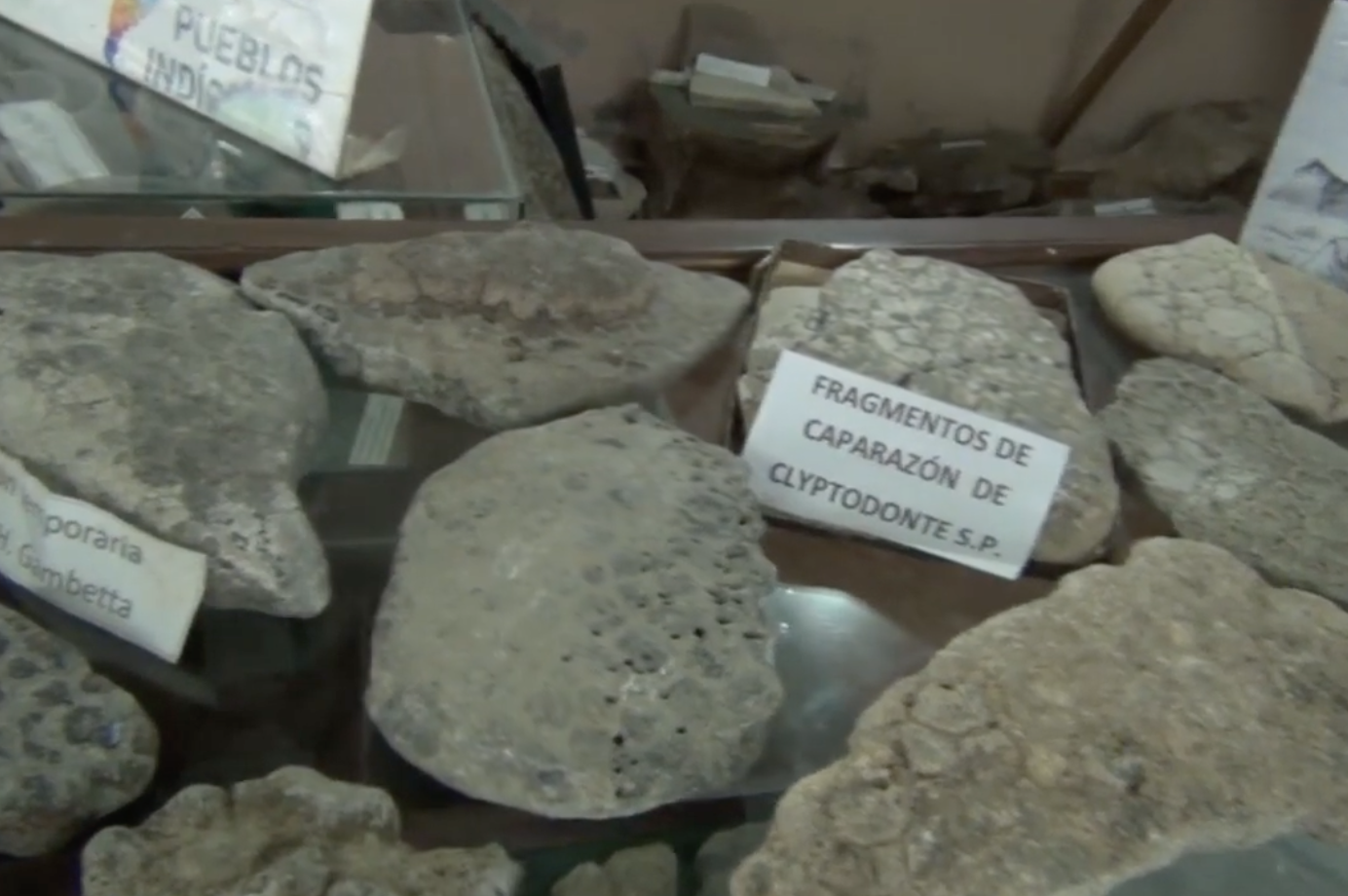 Recorrido por el museo de San Clemente del Tuyú